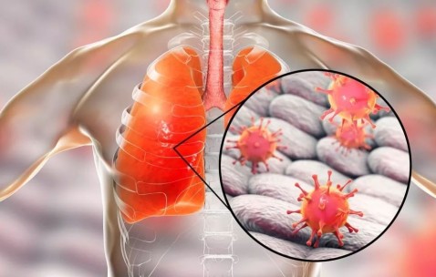 爱游戏(ayx)中国体育国际-关于风云突变浙江稠州转会期完成体检，德国杯版图或变，引发热议，医务组通报恢复的信息