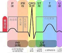 关于斨QD飦P窦#eTh4kQL?(~?I兕韲b膴鎂?颥曀#?鯵?<;的信息